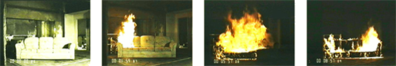 NIST Sofa Burn Photo
