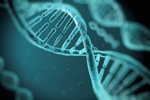 Close-up illustration of a DNA double helix structure showing the twisting strands and connecting base pairs on a blue background.