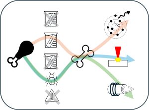 Diagram with icons showing three pathways: one with meat, one with a bug, and one with a microbe, leading to bones, a warning sign, and a bullet, respectively.